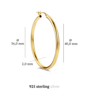 Sorprendimi 925 sterling zilveren gold plated oorbellen